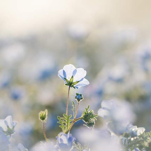 Photo #13724198