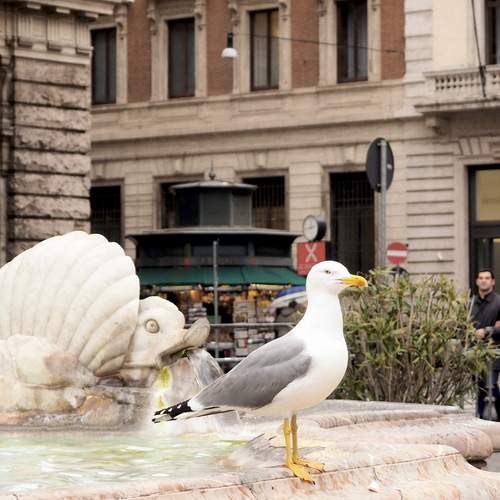 Photo #13724242