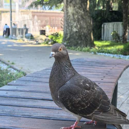 Photo #13724248