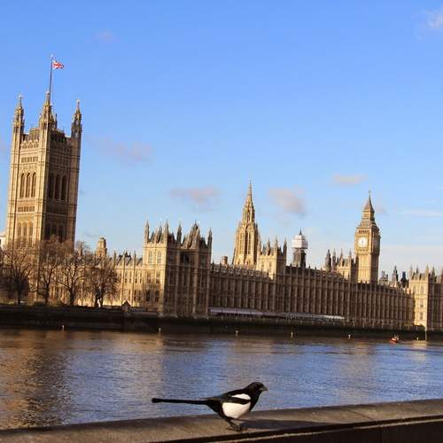 Photo #13724273