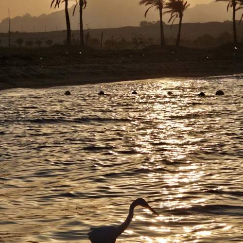 Photo #13724274