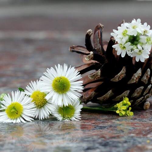 Photo #13724313