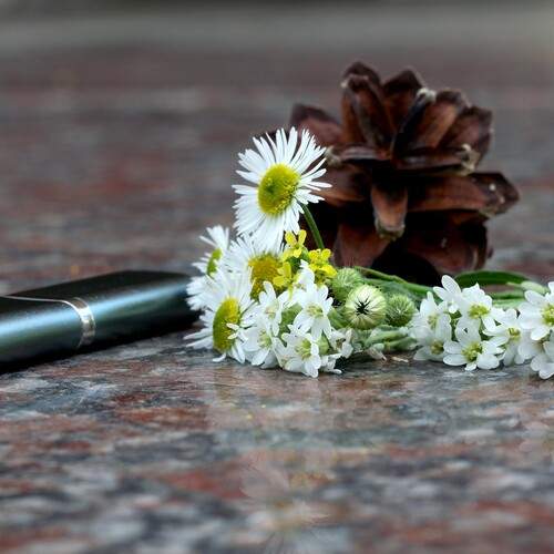 Photo #13724314
