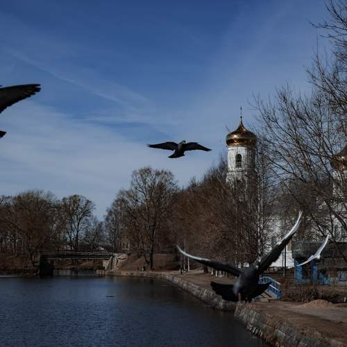 Photo #13724319