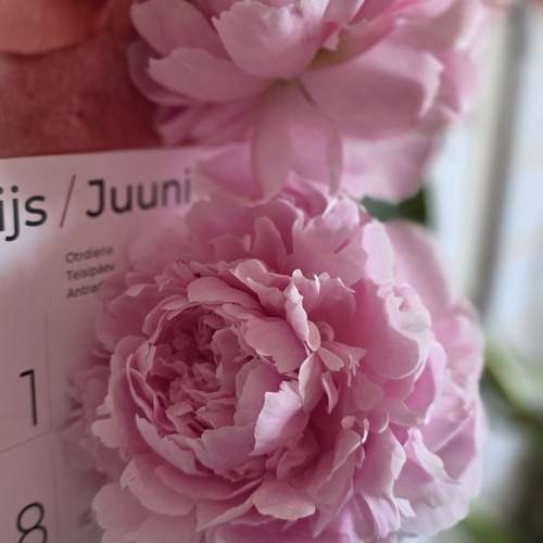 Photo #13724320