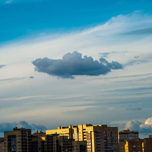 Абстракция природы / Nature\\\'s Abstraction