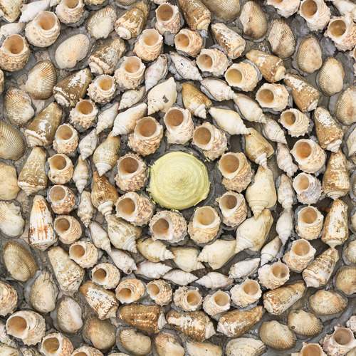Photo #13724399