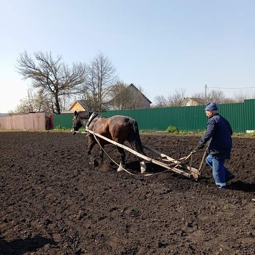 Photo #13724438