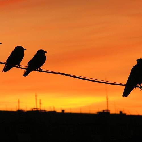 Photo #13724469