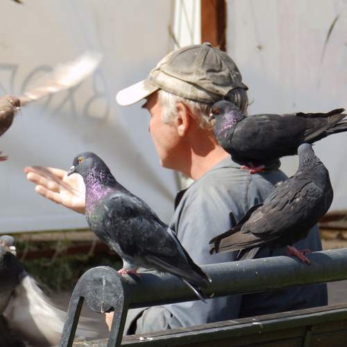 Photo #13724471