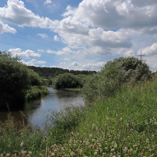 Photo #13724510