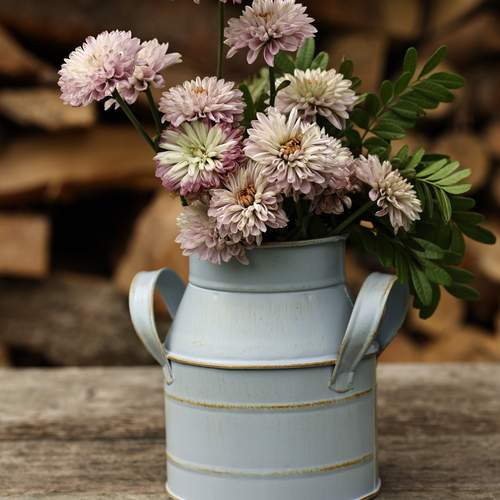 Photo #13724553