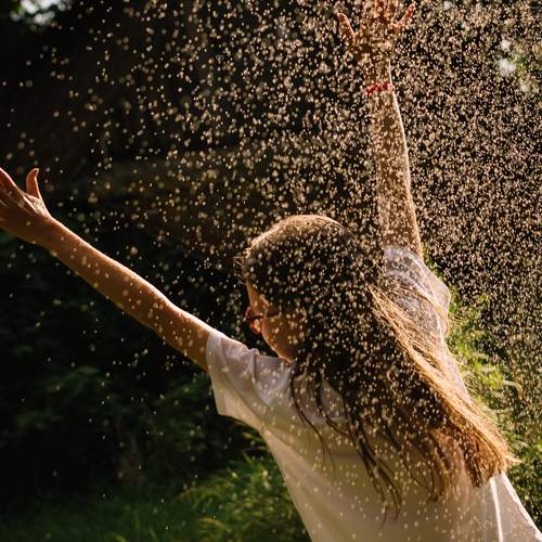 Photo #13724562