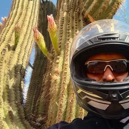 Photo #13724644