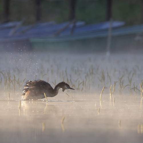 Photo #13724672