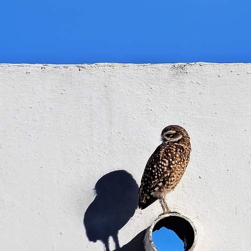 Photo #13724698