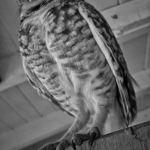Photo #13724732
