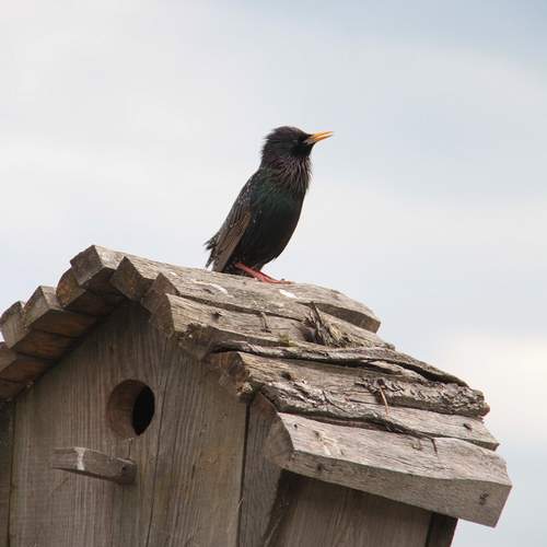 Photo #13724747
