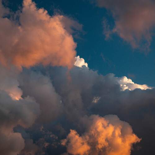 Photo #13724829