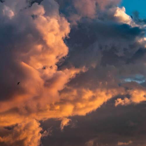 Photo #13724874