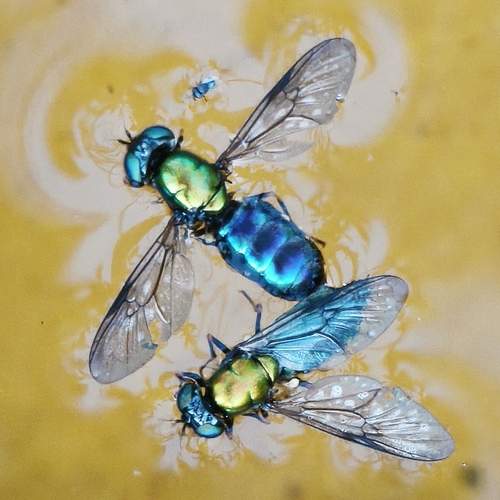 Photo #13724946