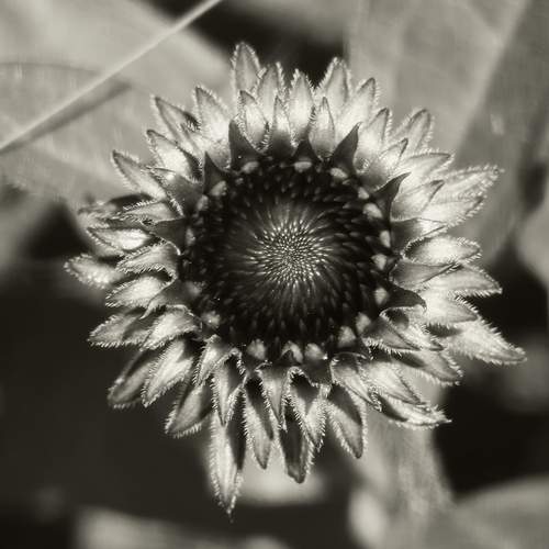 Photo #13724951