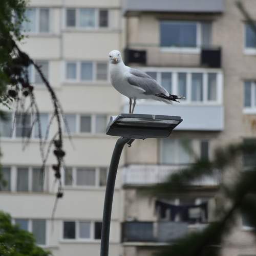 Photo #13724980