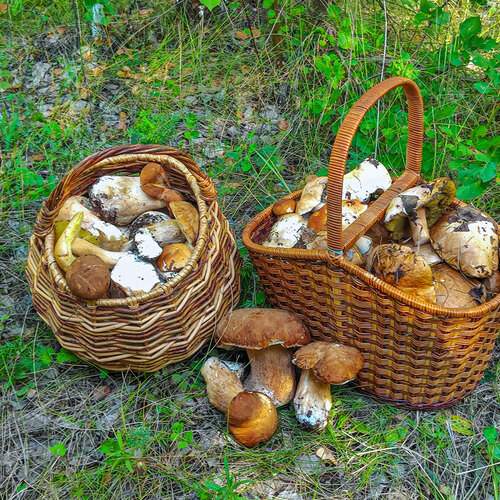 Photo #13725034