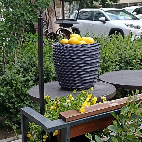Photo #13725108