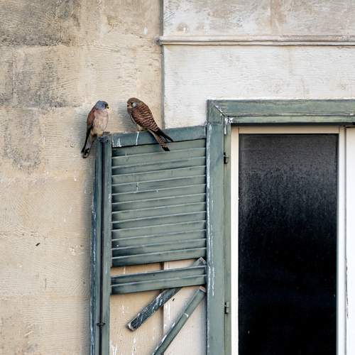 Photo #13725120