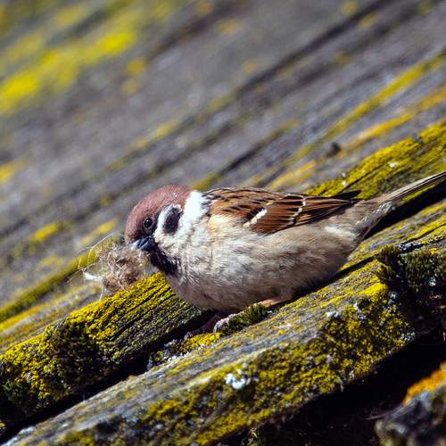 Photo #13725154
