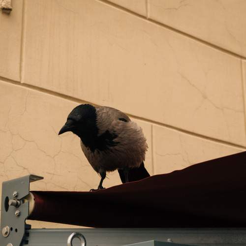 Photo #13725177