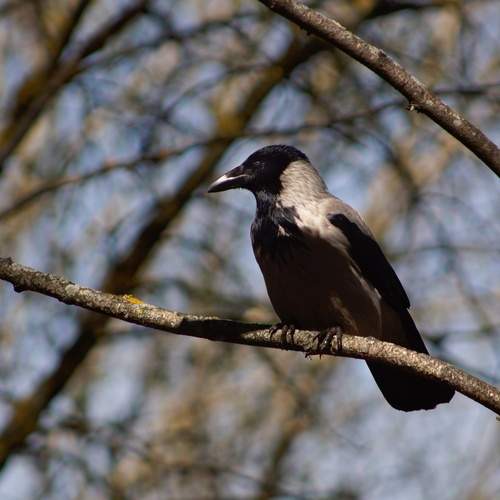Photo #13725199