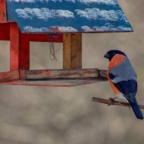 Photo #13725203