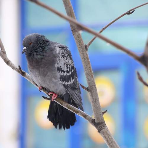 Photo #13725218
