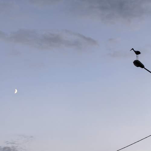 Photo #13725226