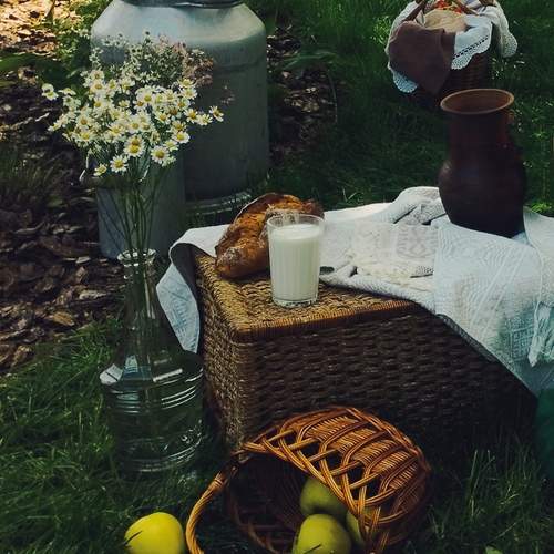 Photo #13725304