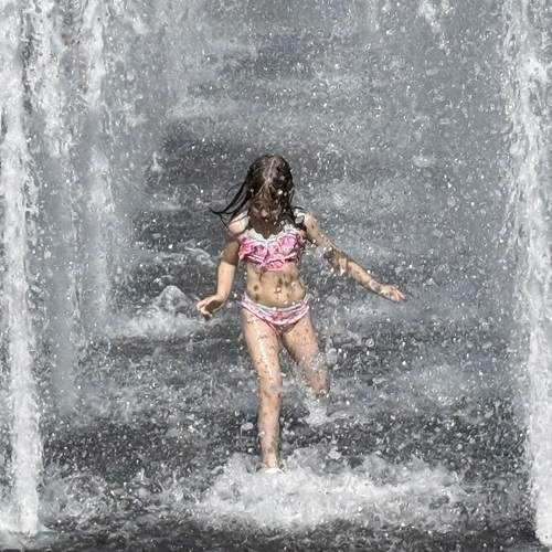 Photo #13725306