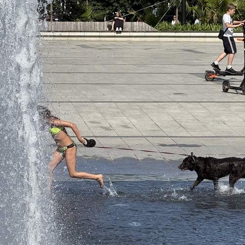 Photo #13725313