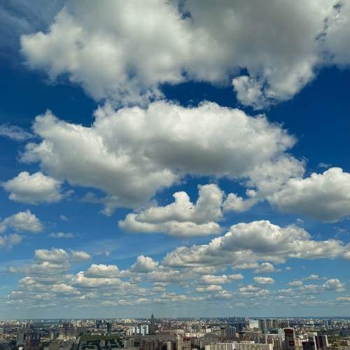 Photo #13725325