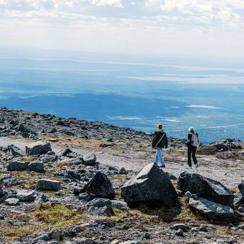 Photo #13725353