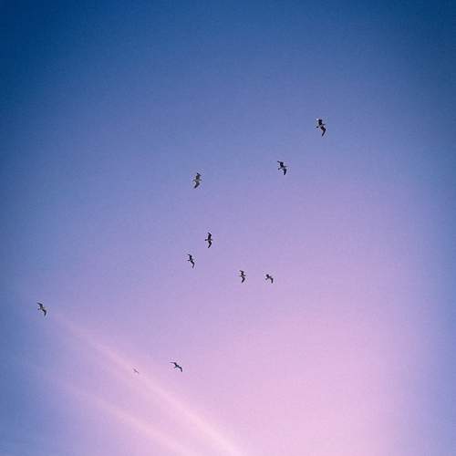 Photo #13725379