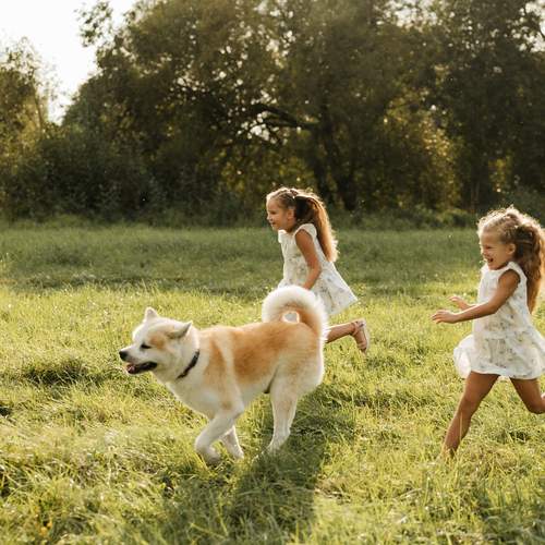 Photo #13725391