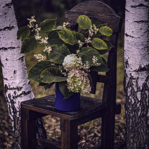 Photo #13725393