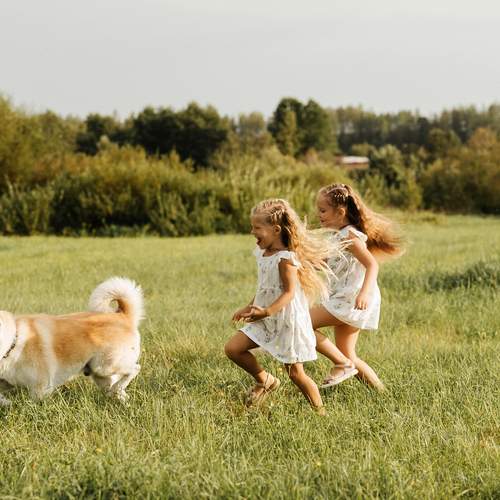 Photo #13725395