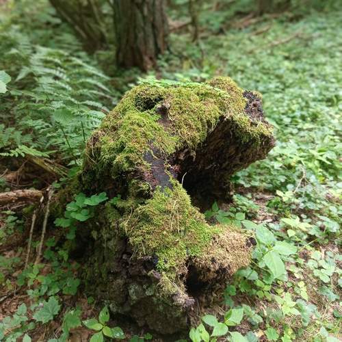 Photo #13725401