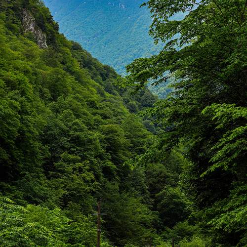 Photo #13725417