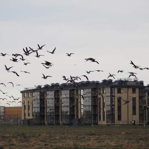 Photo #13725491