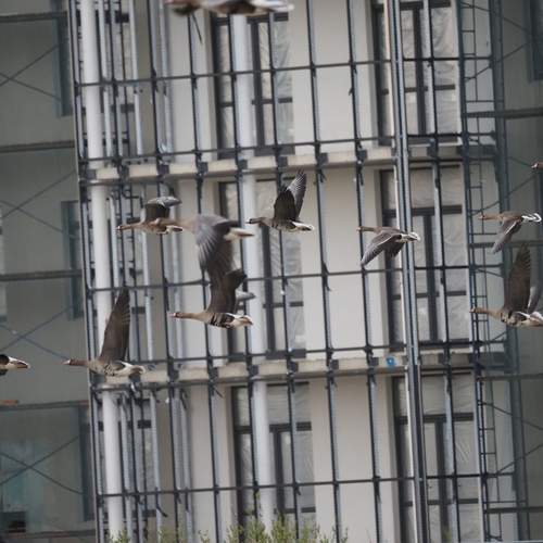 Photo #13725492