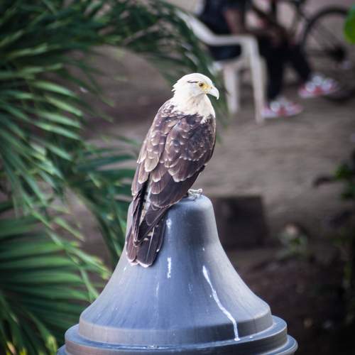 Photo #13725504